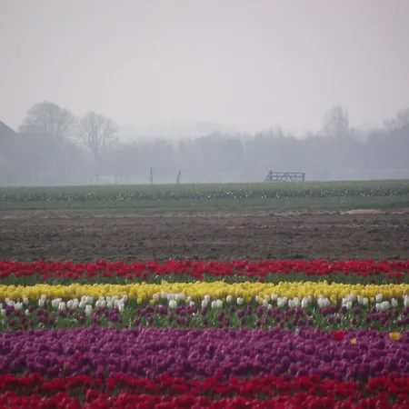 Hilda By Interhome Hébergement de vacances