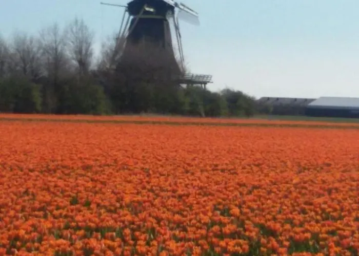 Hilda By Interhome Feriehus Oudesluis (North Holland)