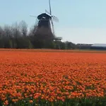 Hilda By Interhome Prázdninový dům Oudesluis (North Holland)