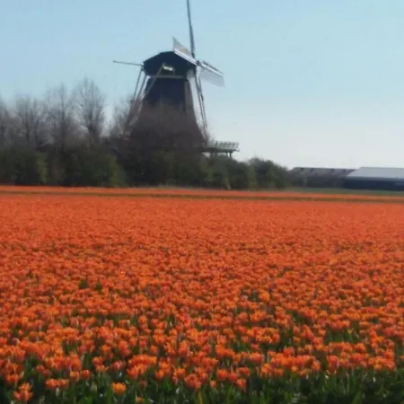 Hilda By Interhome Сasa de vacaciones Oudesluis (North Holland)