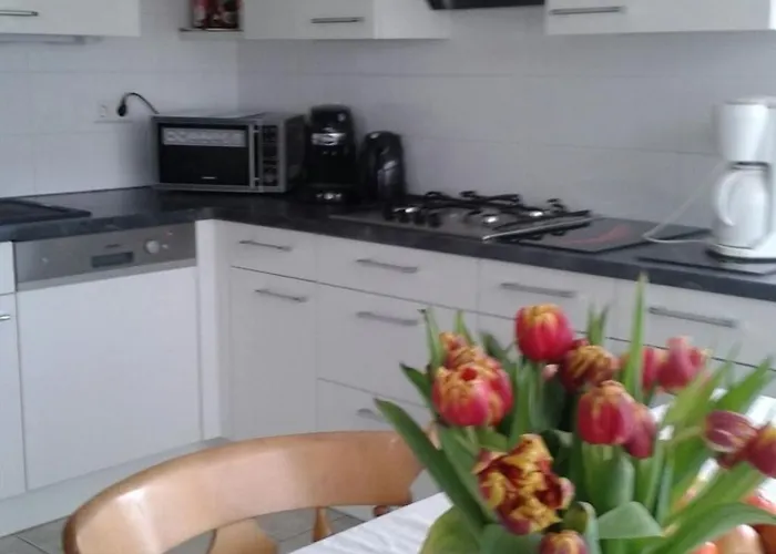 Hilda By Interhome Casa de Férias Oudesluis (North Holland)