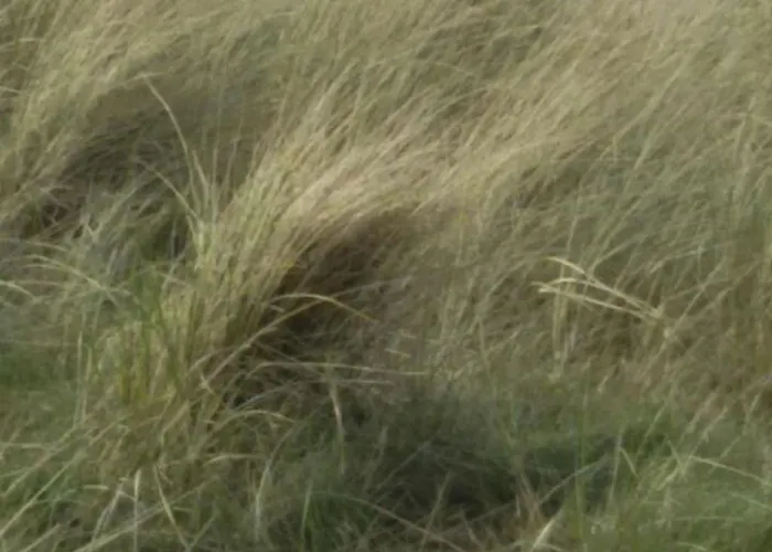 Hilda By Interhome Casa de Férias